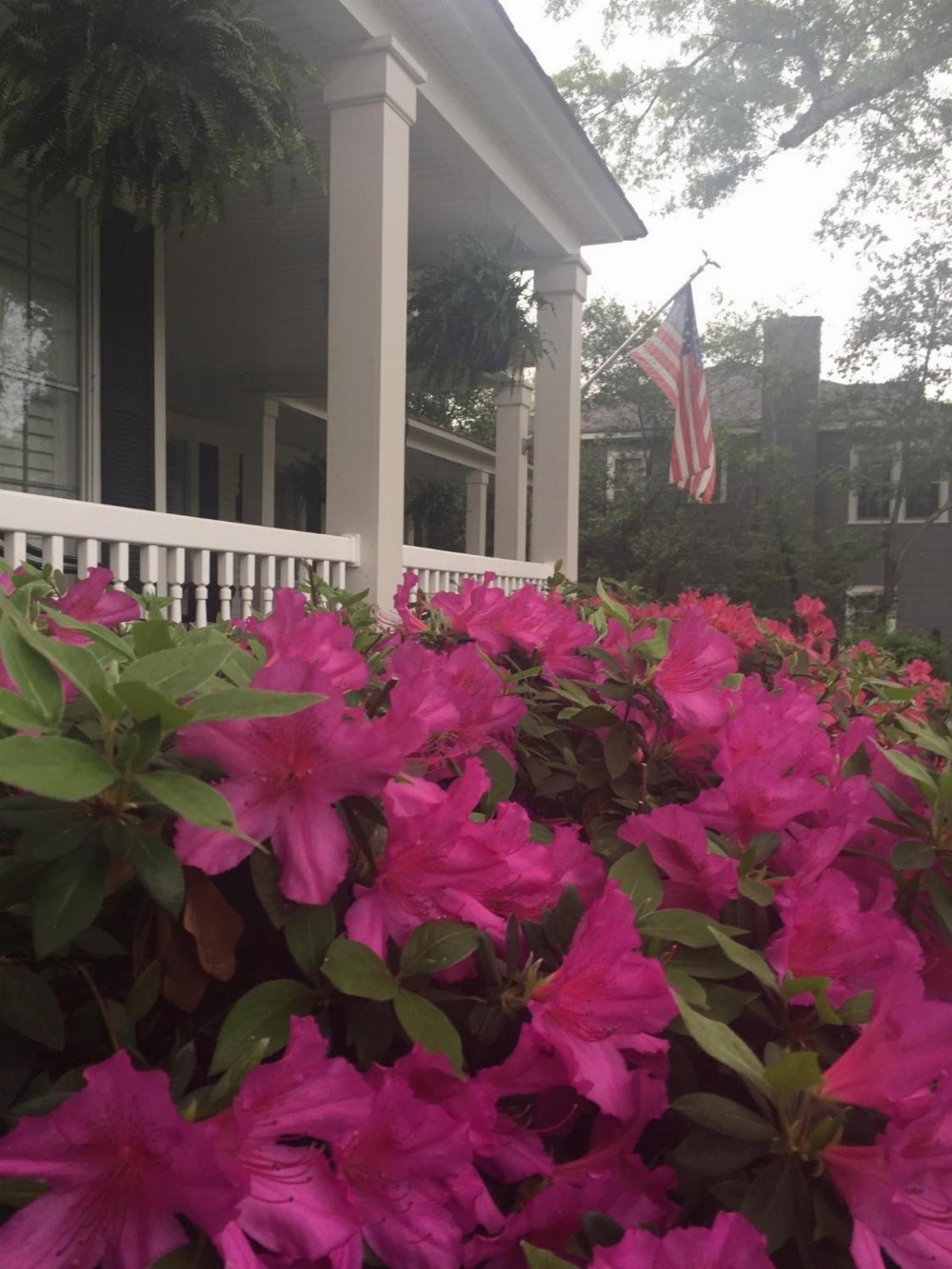 Huffman House Bed & Breakfast Main image