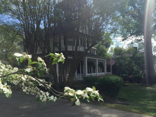 Huffman House Bed & Breakfast image 9